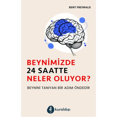Beynimizde 24 Saatte Neler Oluyor?