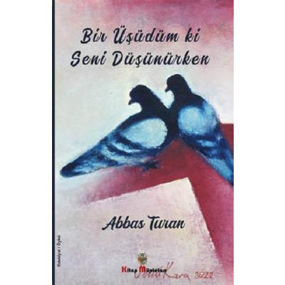 Bir Üşüdüm ki Seni Düşünürken