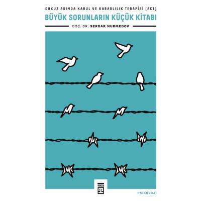 Büyük Sorunların Küçük Kitabı
