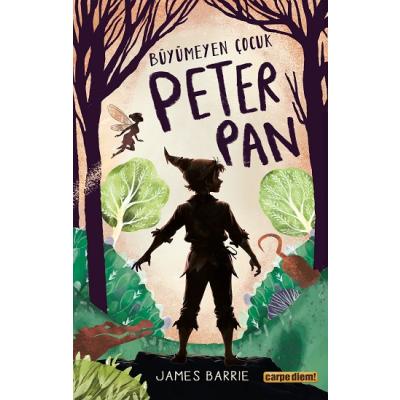 Büyümeyen Çocuk Peter Pan
