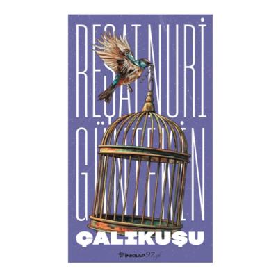 Çalıkuşu (Yeni Kapak)