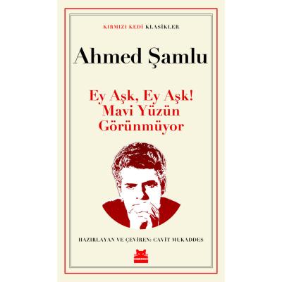 Ey Aşk, Ey Aşk! Mavi Yüzün Görünmüyor