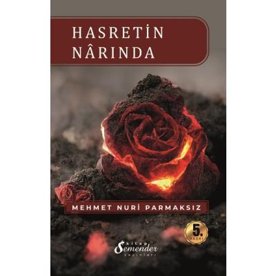 Hasretin Narında