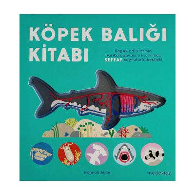 Köpek Balığı Kitabı (Ciltli)