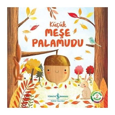 Küçük Meşe Palamudu