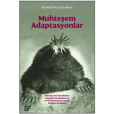 Muhteşem Adaptasyonlar