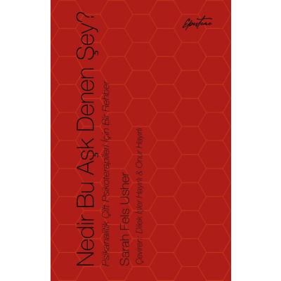 Nedir Bu Aşk Denen Şey?