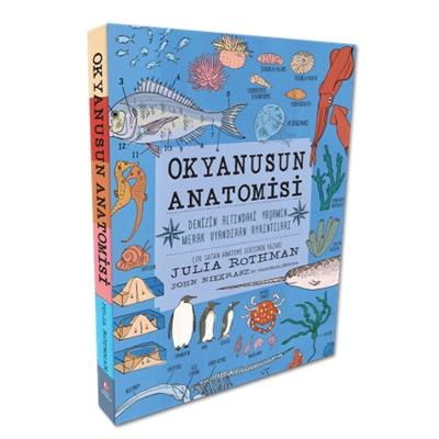 Okyanusun Anatomisi