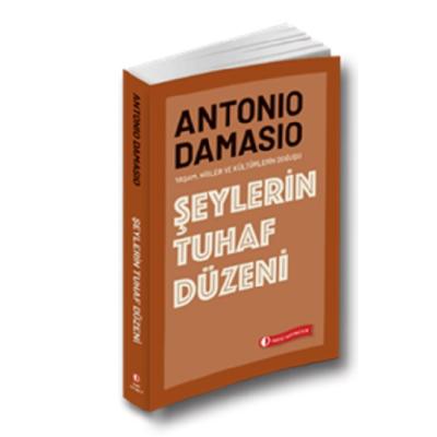 Şeylerin Tuhaf Düzeni