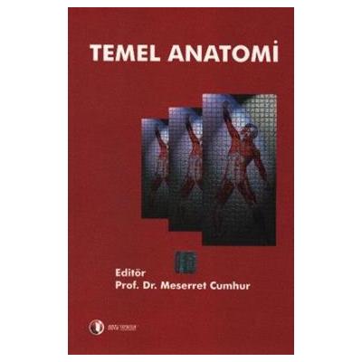 Temel Anatomi