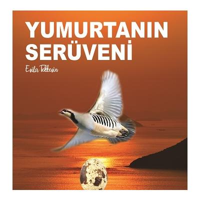 Yumurtanın Serüveni