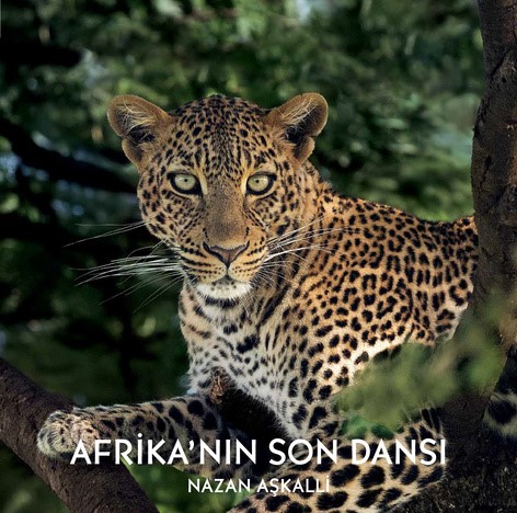 Afrika’nın Son Dansı (Ciltli)