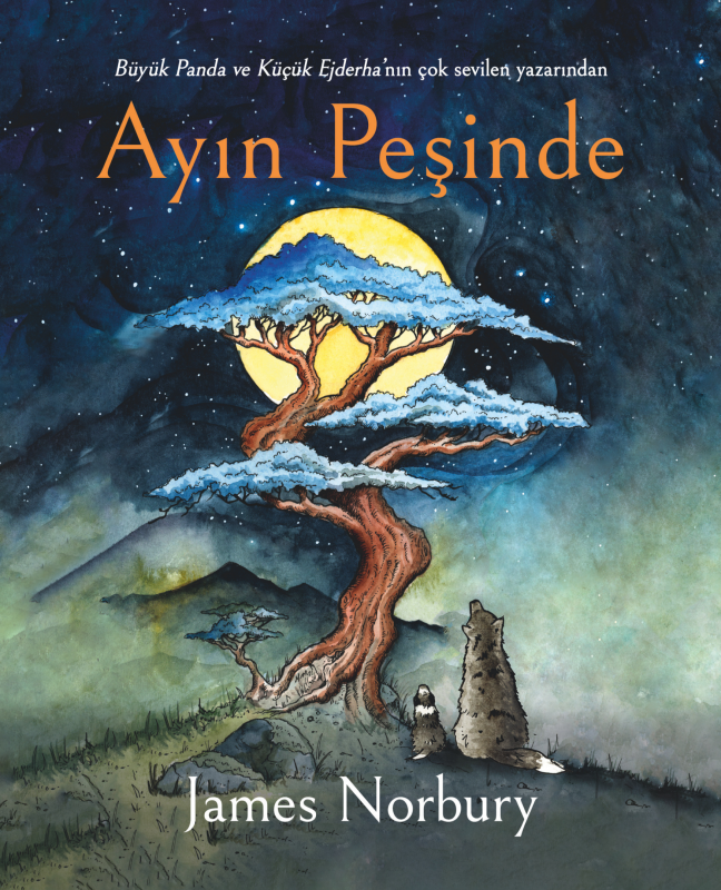 Ayın Peşinde - Ciltli