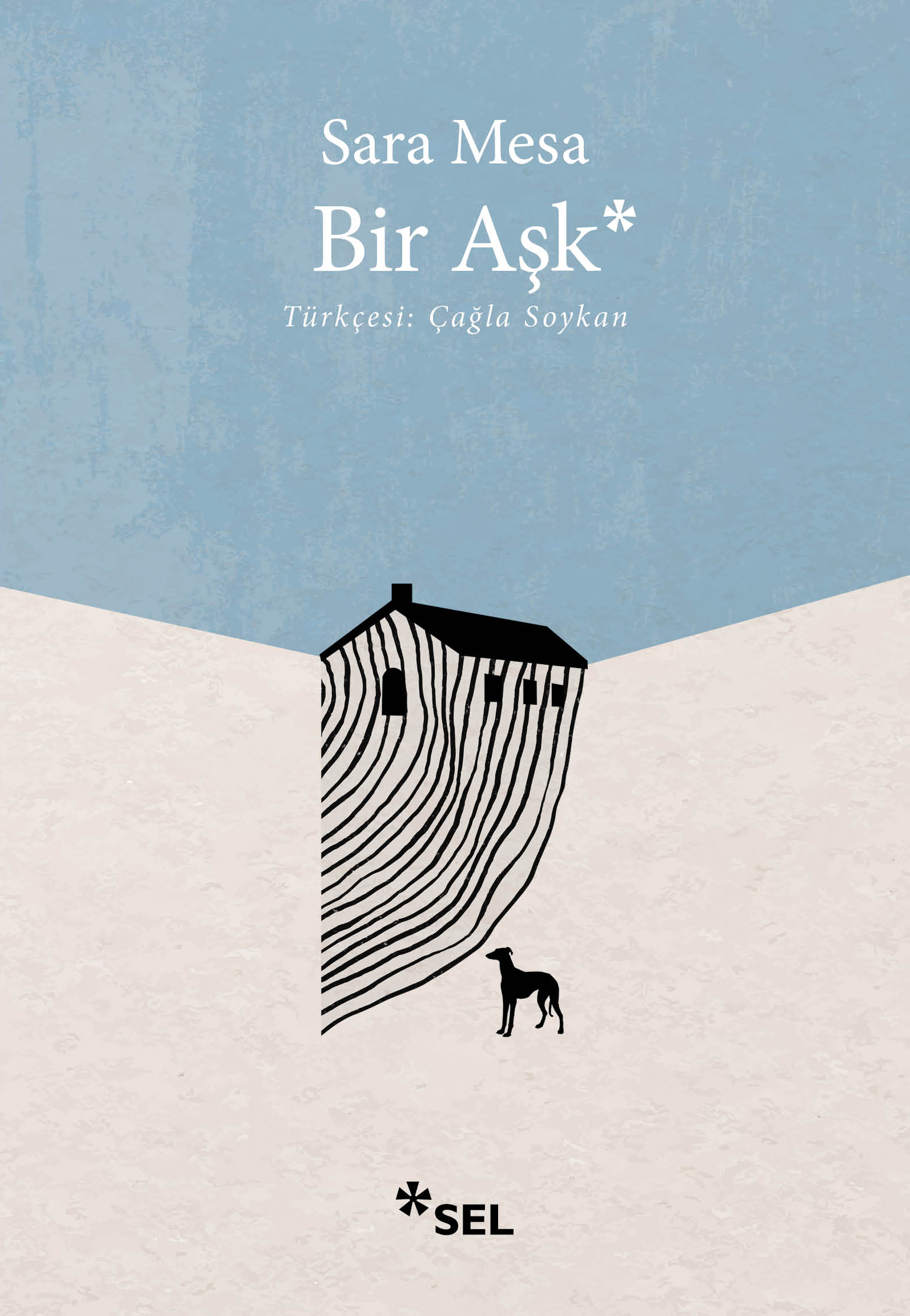 Bir Aşk