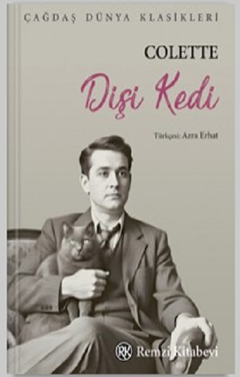 Dişi Kedi