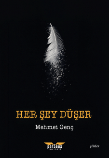 Her Şey Düşer