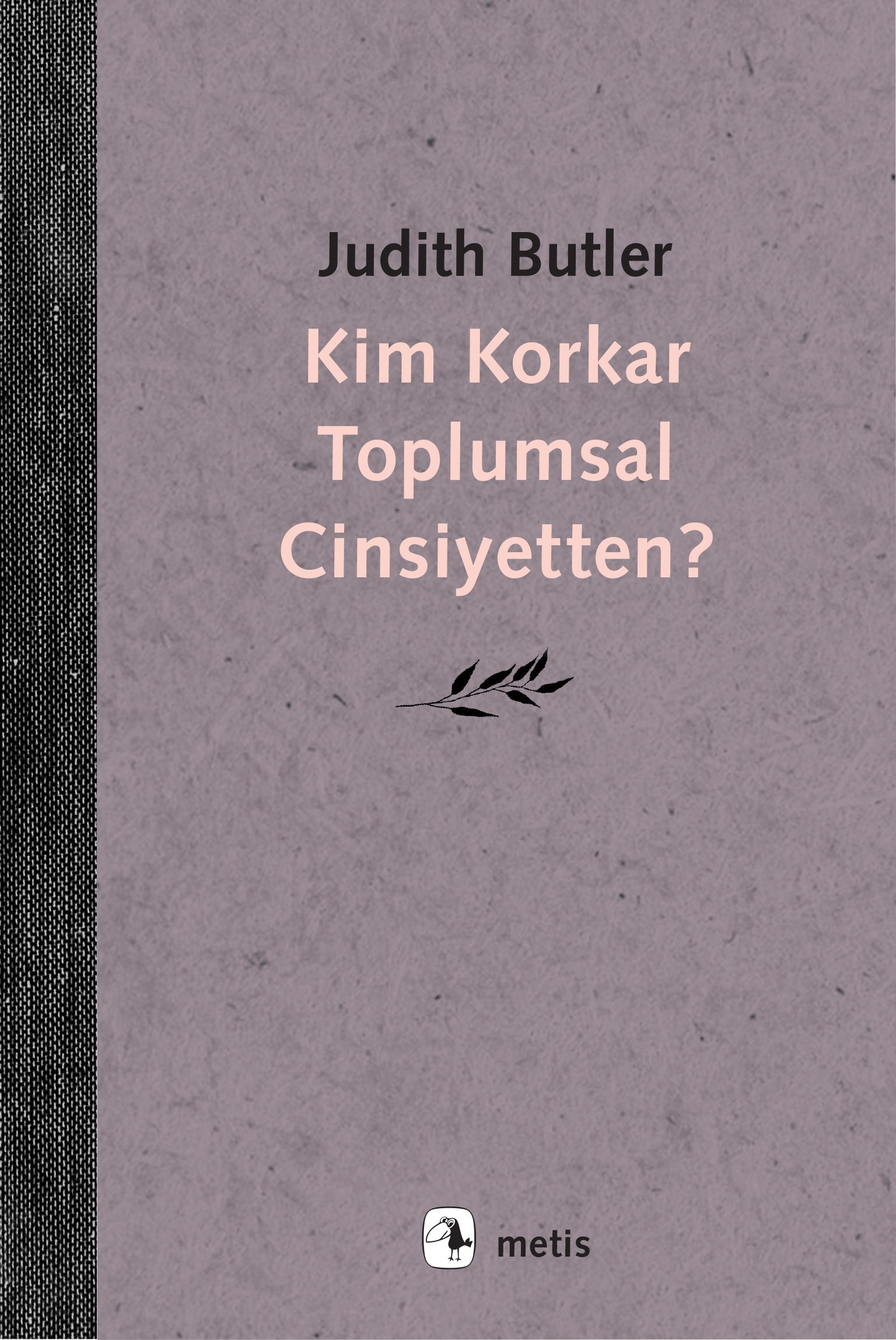 Kim Korkar Toplumsal Cinsiyetten?