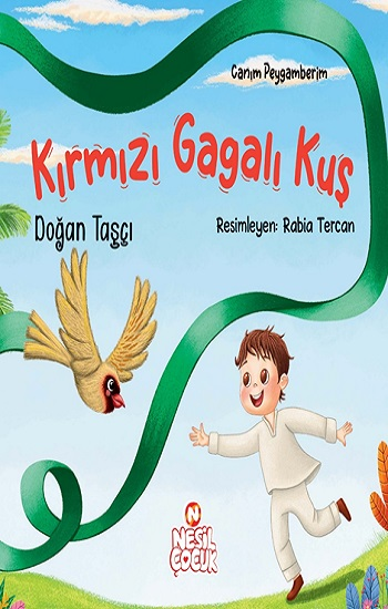 Kırmızı Gagalı Kuş