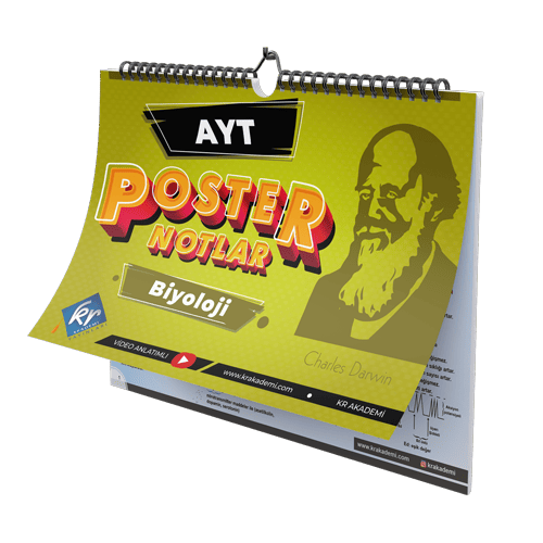Kr Akademi Yayınları Ayt Biyoloji Poster Notlar 