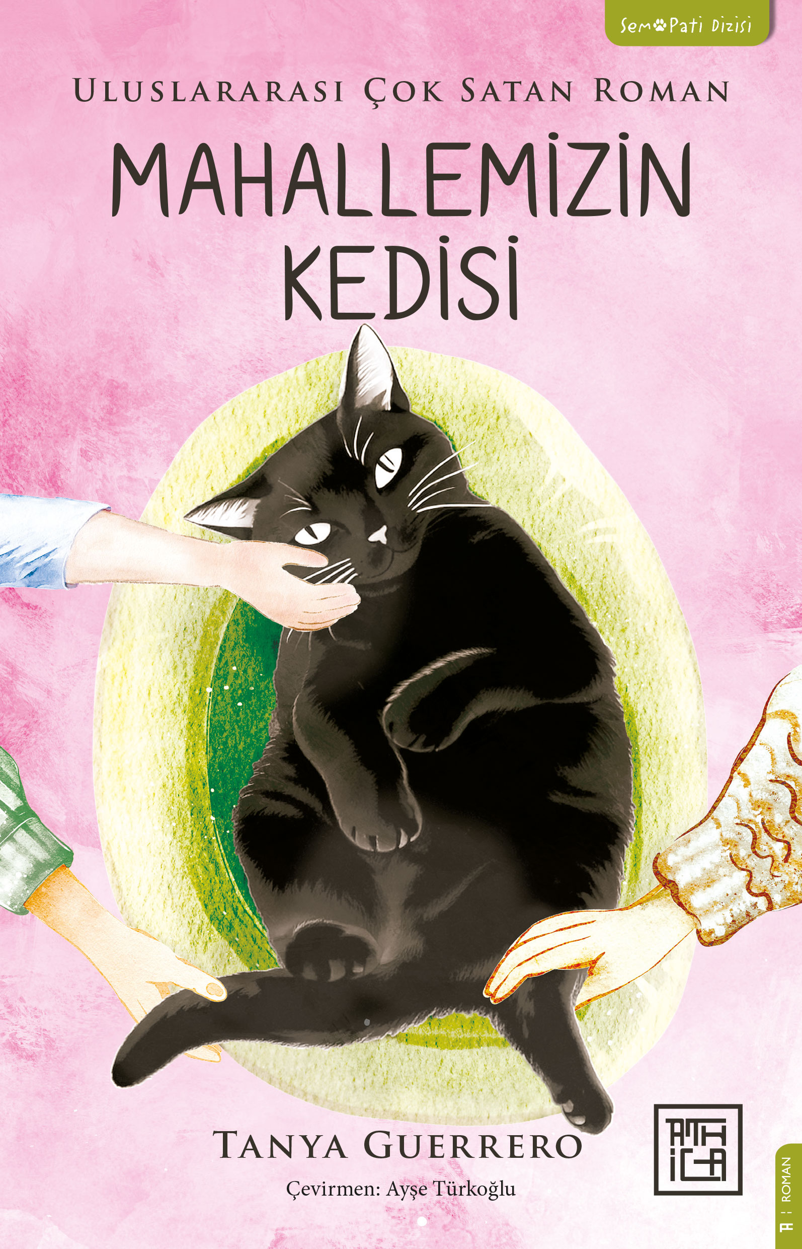 Mahallemizin Kedisi