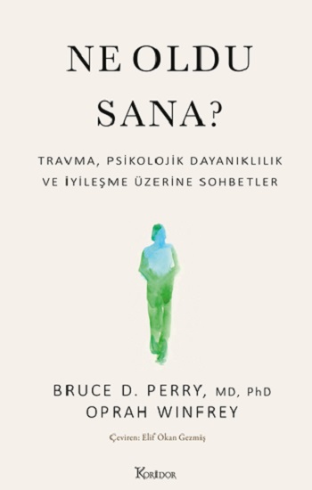 Ne Oldu Sana?