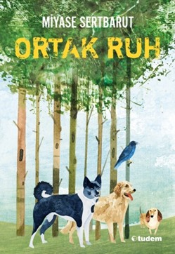 Ortak Ruh  Sisin Sakladıkları-2