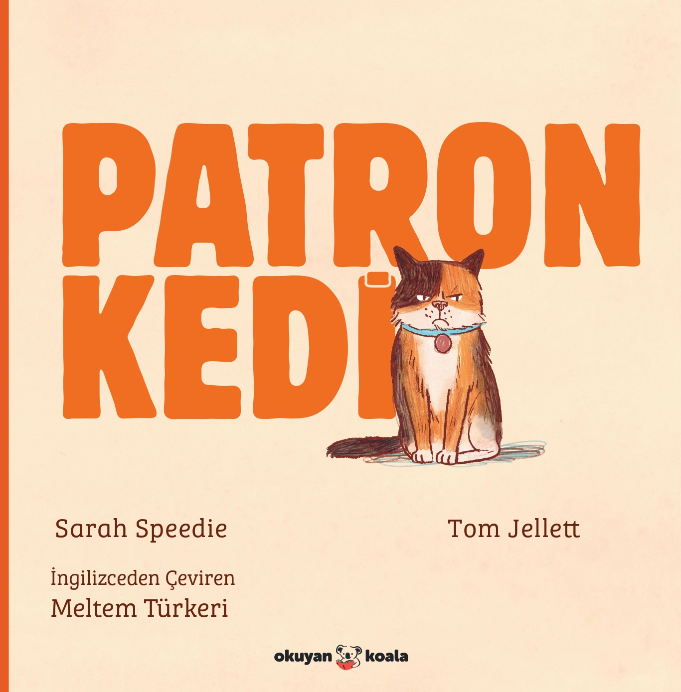 Patron Kedi