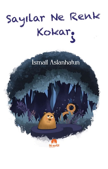 Sayılar Ne Renk Kokar