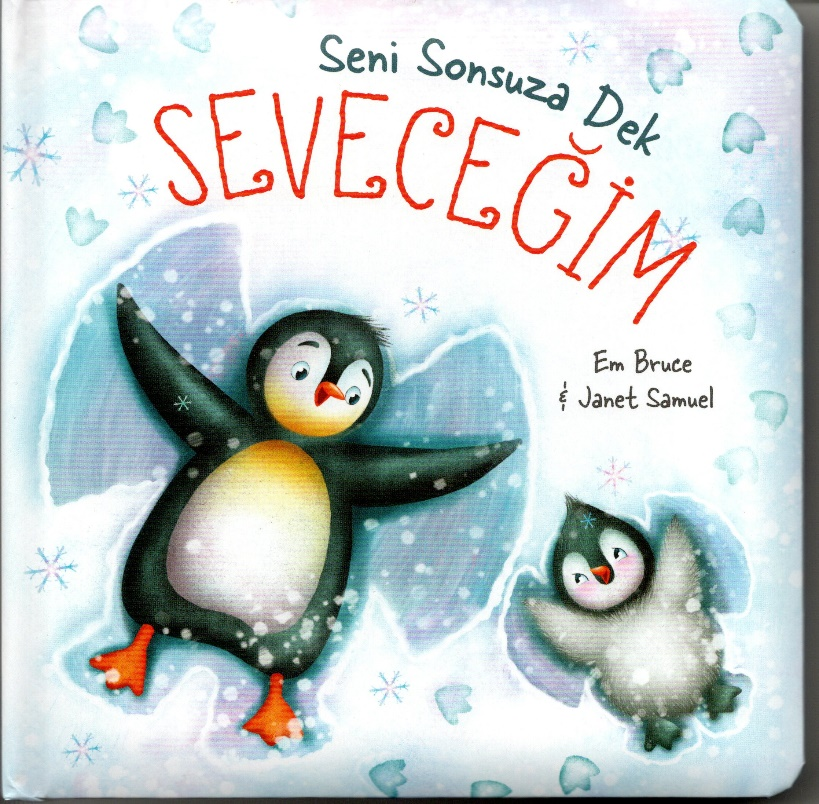 Seni Sonsuza Dek Seveceğim - Ciltli