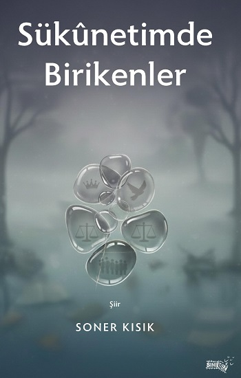 Sukunetimde Birikenler