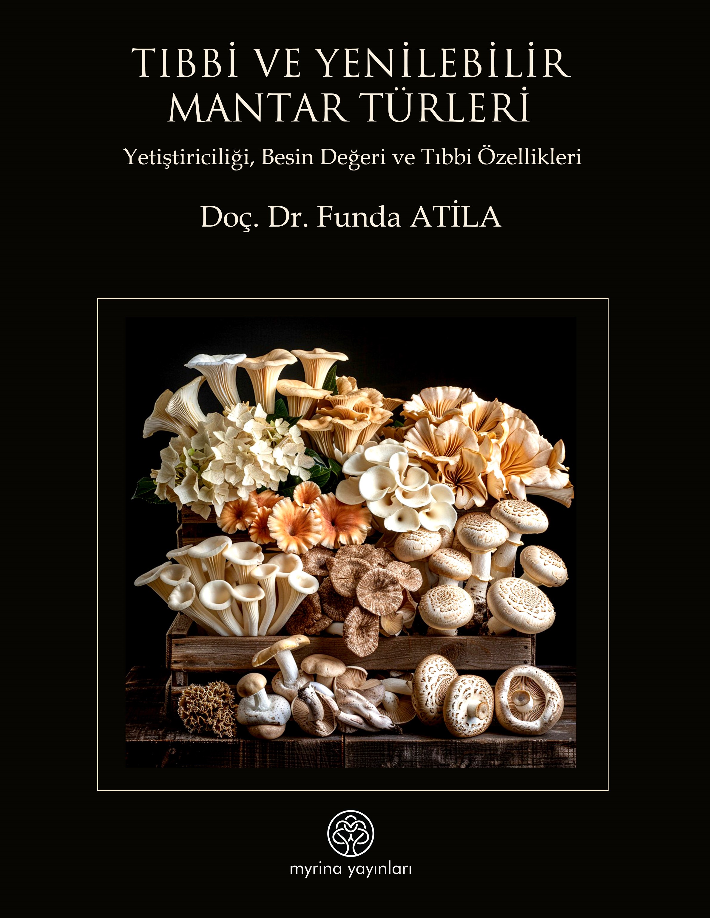 Tıbbi Ve Yenilebilir Mantar Türleri