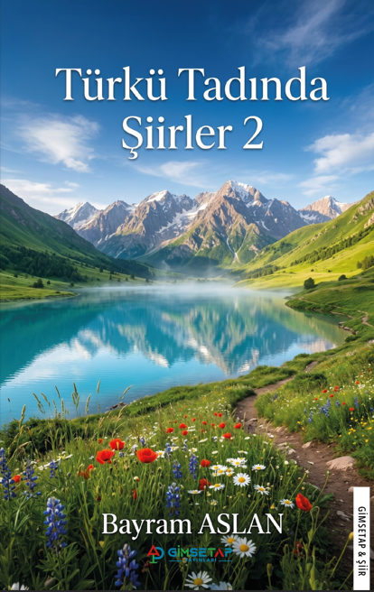 Türkü Tadında Şiirler 2